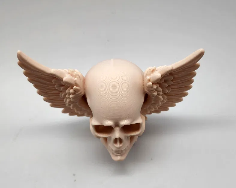 Mô hình Skull with Wings 3D - Đầu lâu có cánh trang trí độc đáo - Image 3
