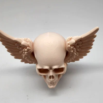 Mô hình Skull with Wings 3D - Đầu lâu có cánh trang trí độc đáo