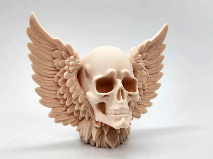 Mô hình Skull with Wings 3D - Đầu lâu có cánh trang trí độc đáo - Image 4