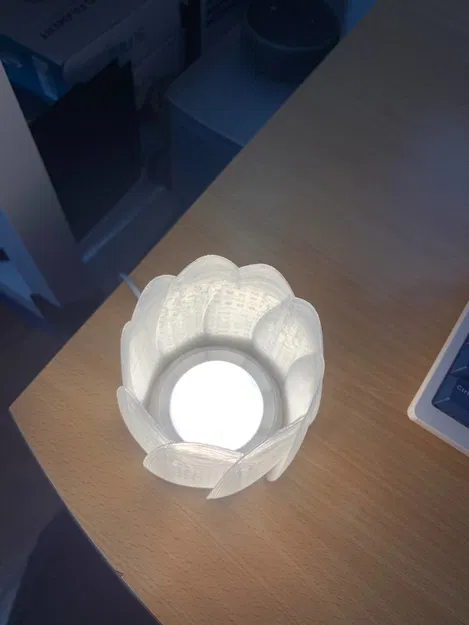 Mẫu đèn ngủ 3D hình hoa sen tinh tế (Lampara Modelo #1) - Image 2