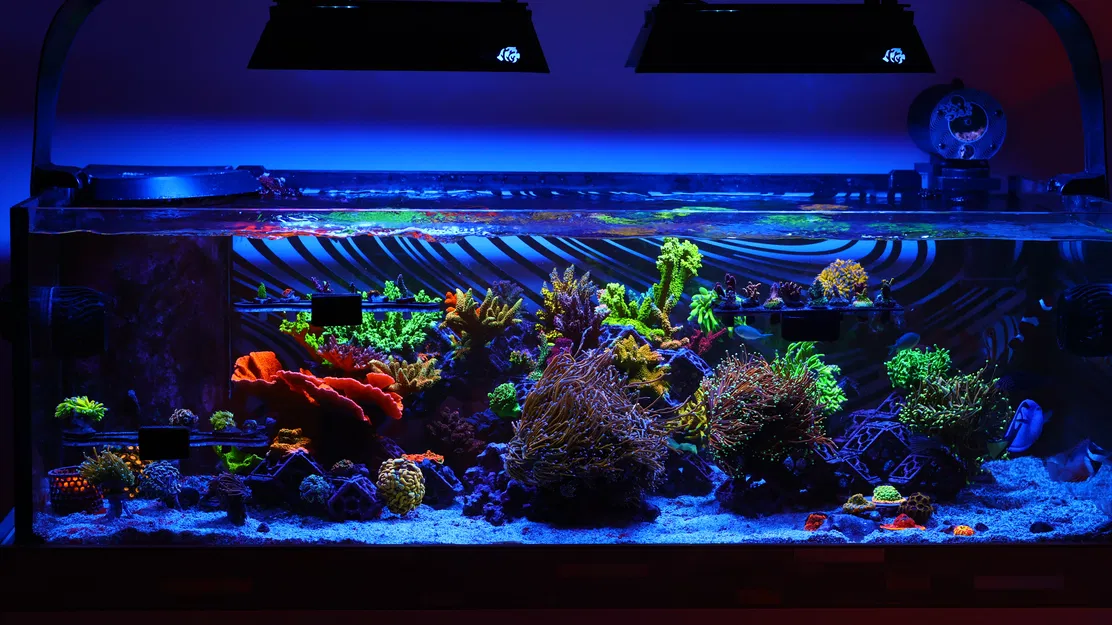 Hệ thống 3DReefing Frag Scape cho hồ cá san hô - Image 4