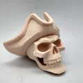 Mô hình Đầu lâu Hải tặc - Pirate Skull - Thumbnail 1