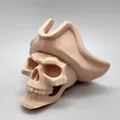 Mô hình Đầu lâu Hải tặc - Pirate Skull - Thumbnail 3