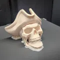 Mô hình Đầu lâu Hải tặc - Pirate Skull - Thumbnail 6