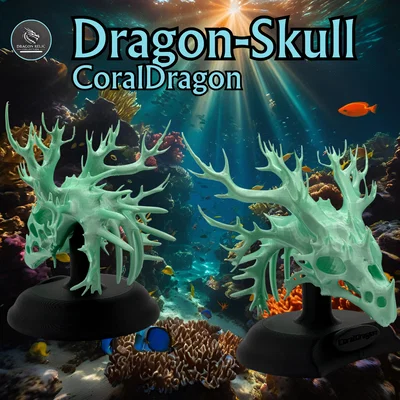 Mô hình Hộp sọ Rồng San hô (Coral Dragon Skull) kèm đế