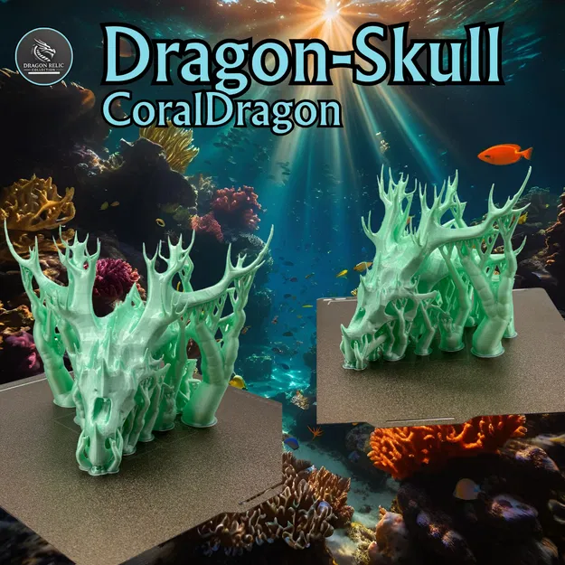Mô hình Hộp sọ Rồng San hô (Coral Dragon Skull) kèm đế - Image 4