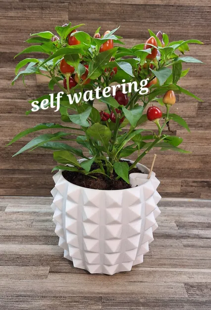 Chậu trồng cây (Plant pot) - Image 1