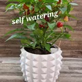 Chậu trồng cây (Plant pot) - Thumbnail 1