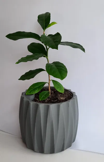 Chậu trồng cây tự tưới thông minh - Image 1