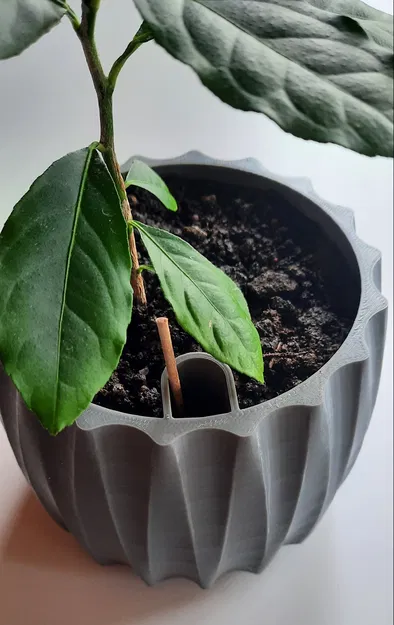 Chậu trồng cây tự tưới thông minh - Image 4