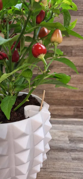 Chậu trồng cây (Plant pot) - Image 3