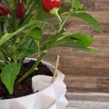 Chậu trồng cây (Plant pot) - Thumbnail 3