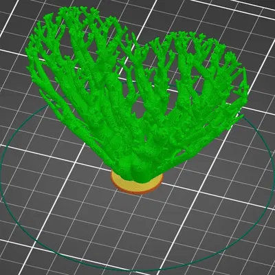 Mô hình Trái tim HEART