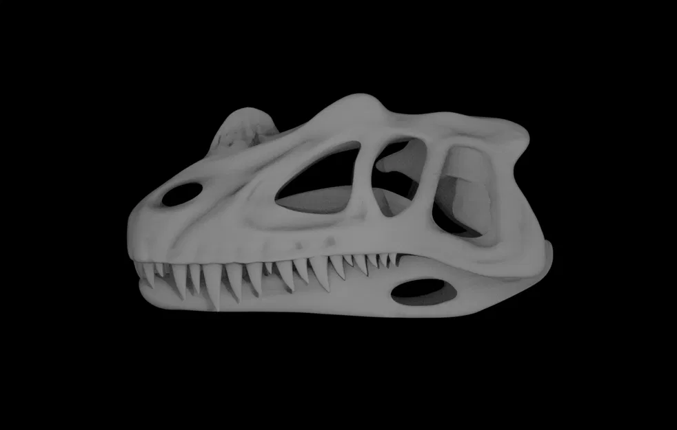 Mô hình hộp sọ khủng long Ceratosaurus - Image 1