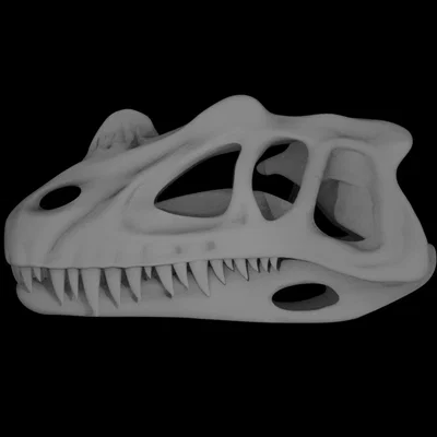 Mô hình hộp sọ khủng long Ceratosaurus