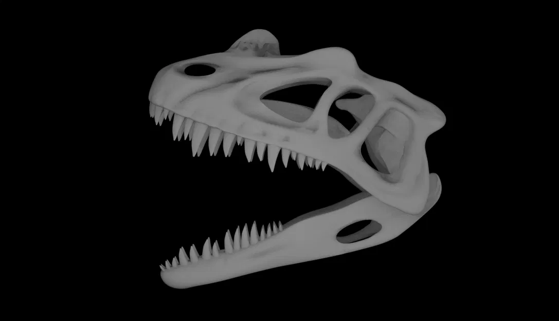 Mô hình hộp sọ khủng long Ceratosaurus - Image 2