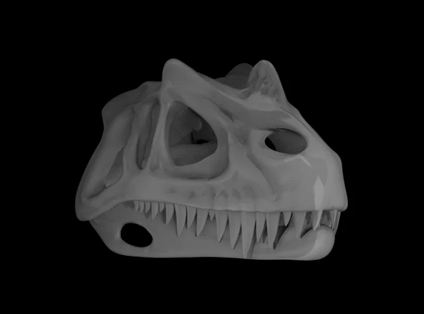 Mô hình hộp sọ khủng long Ceratosaurus - Image 3