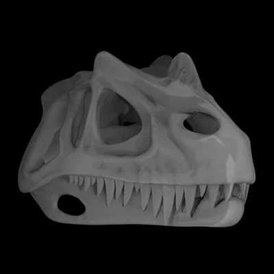 Mô hình hộp sọ khủng long Ceratosaurus