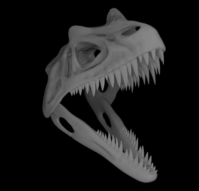 Mô hình hộp sọ khủng long Ceratosaurus - Image 4