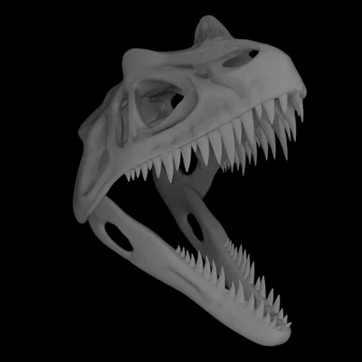 Mô hình hộp sọ khủng long Ceratosaurus