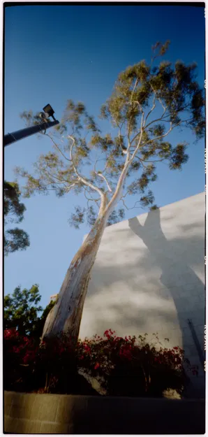 Máy ảnh Pinhole 6x12 tiêu cự 40mm - Image 2