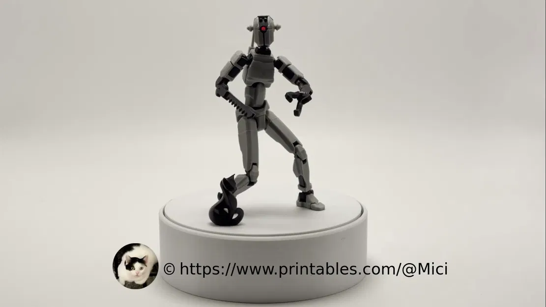 DUMMY13 đi dự COMIC CON - FO4 Assaultron V1b9 - Image 1