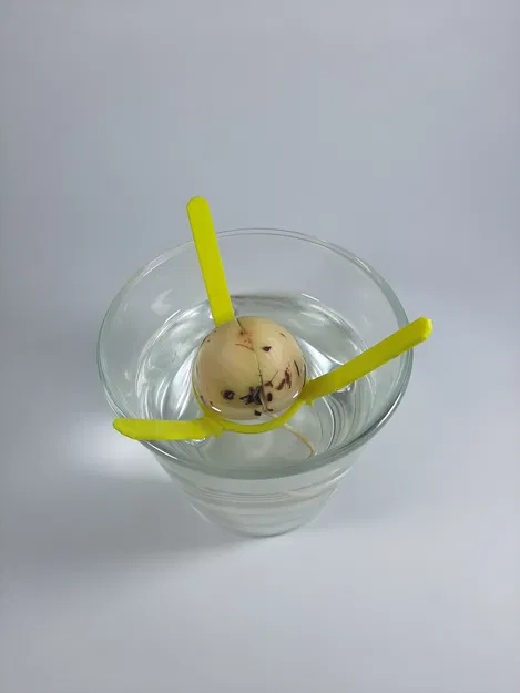 Giá Đỡ Hạt Bơ (Avocado Seed Holder) - Image 2