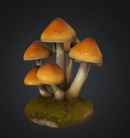 Mô hình Nấm Trang trí - Image 1