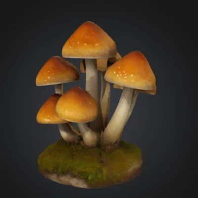 Mô hình Nấm Trang trí