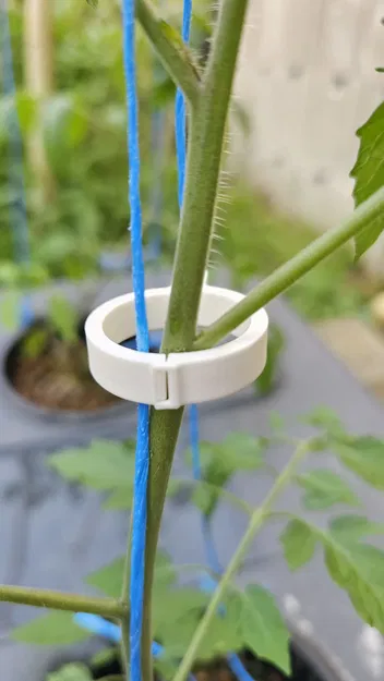 Kẹp Cà Chua v3 (Tomato Clip v3) - Image 1