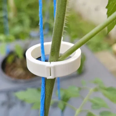 Kẹp Cà Chua v3 (Tomato Clip v3)