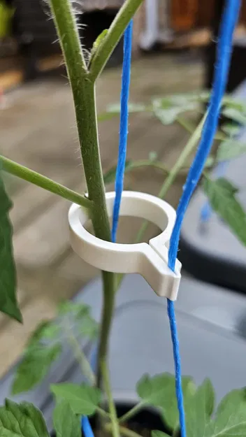 Kẹp Cà Chua v3 (Tomato Clip v3) - Image 2