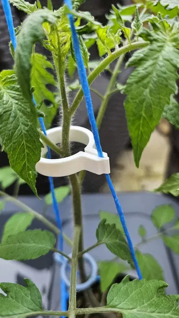 Kẹp Cà Chua v3 (Tomato Clip v3) - Image 7