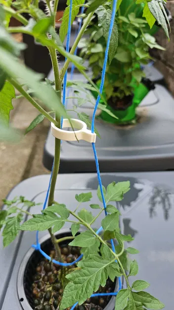 Kẹp Cà Chua v3 (Tomato Clip v3) - Image 8