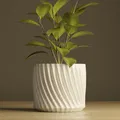 Mẫu in 3D chậu cây họa tiết hình học xoắn ốc tinh tế - Thumbnail 1