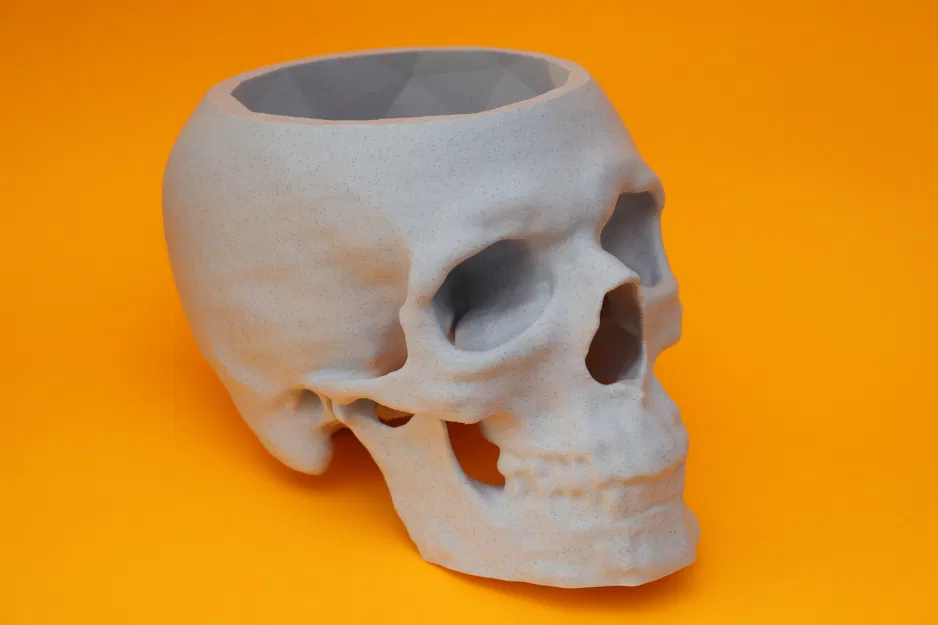 Chiếc bát hình hộp sọ (tạo từ dữ liệu chụp CT) - Image 2