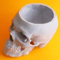 Chiếc bát hình hộp sọ (tạo từ dữ liệu chụp CT) - Thumbnail 3