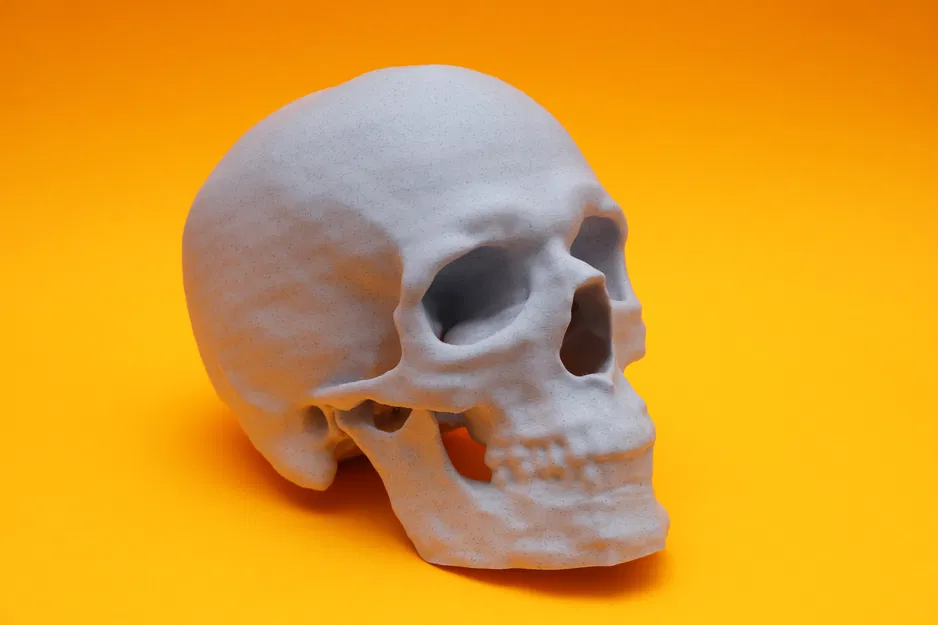 Mô hình hộp sọ từ dữ liệu quét CT - Image 1