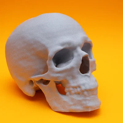 Mô hình hộp sọ từ dữ liệu quét CT