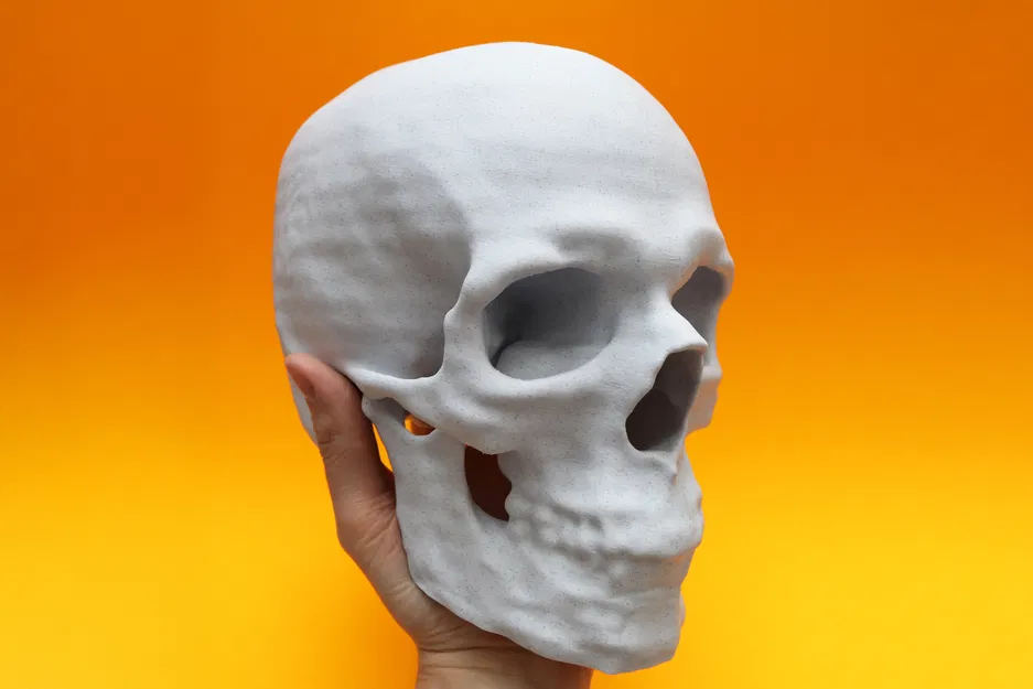 Mô hình hộp sọ từ dữ liệu quét CT - Image 2