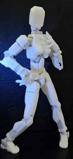 Bản Mod Thân Nữ Dummy-13 Female Torso In 3D Chi Tiết - Image 1