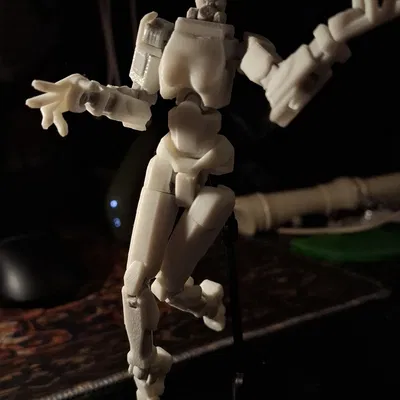 Bản Mod Thân Nữ Dummy-13 Female Torso In 3D Chi Tiết