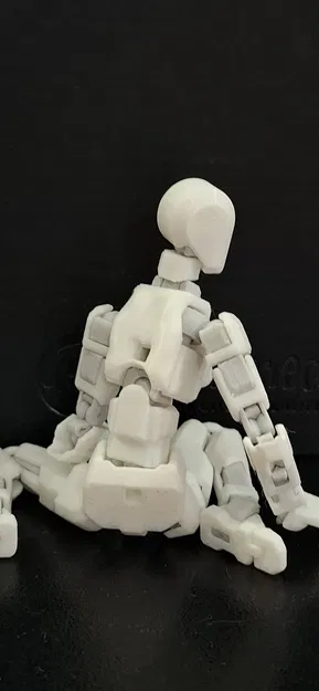 Bản Mod Thân Nữ Dummy-13 Female Torso In 3D Chi Tiết - Image 3