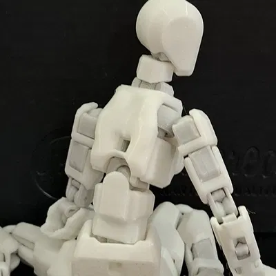 Bản Mod Thân Nữ Dummy-13 Female Torso In 3D Chi Tiết