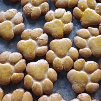 Khuôn cắt bánh quy hình bàn chân thú cưng