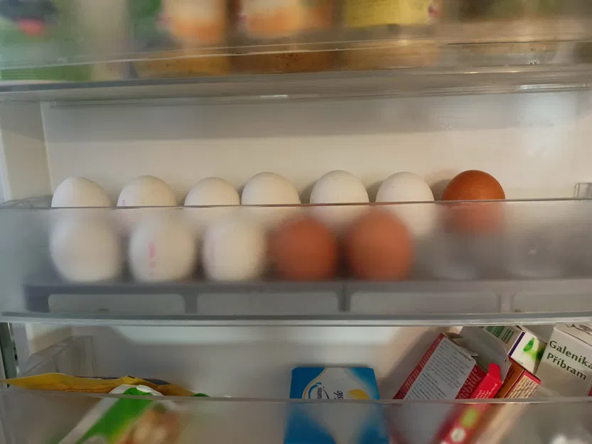 Khay đựng 16 trứng - Image 4