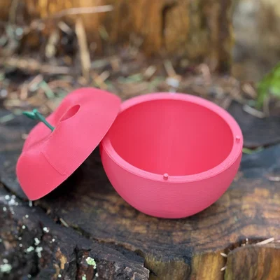 Mô hình Sâu linh hoạt và Hộp đựng hình quả táo (Flexi Articulating Worm and Apple Container)