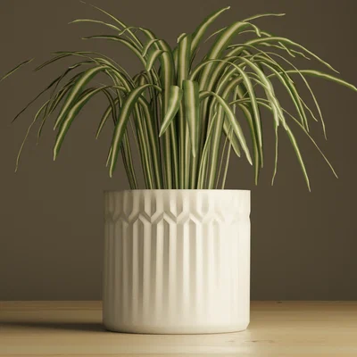 Chậu cây trang trí hình học Plant Pot #3 tinh tế cho không gian nhà