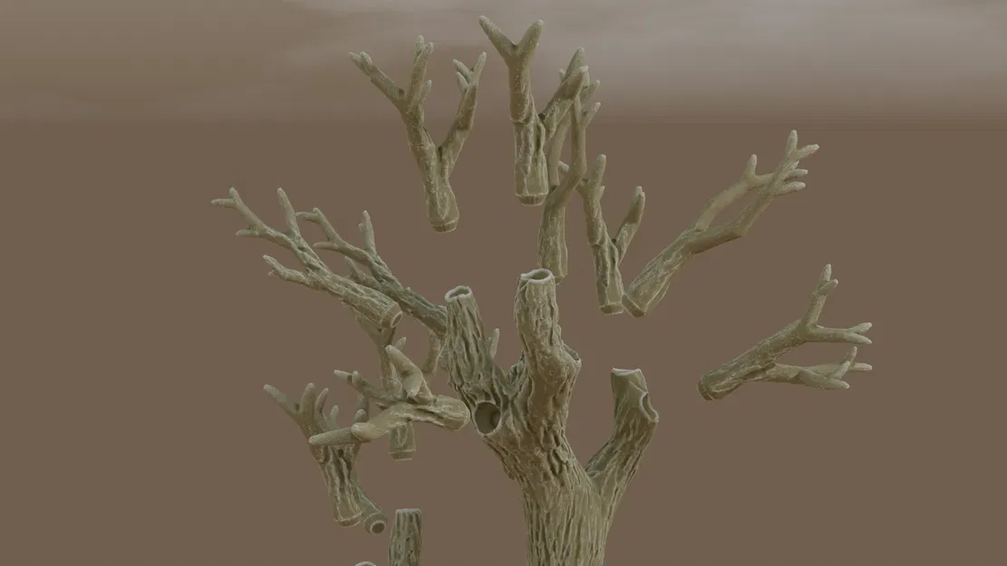 Mẫu thử miễn phí Deep forest - Khu rừng sâu với những tán cây kỳ bí - Image 2