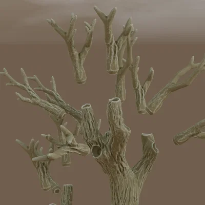Mẫu thử miễn phí Deep forest - Khu rừng sâu với những tán cây kỳ bí